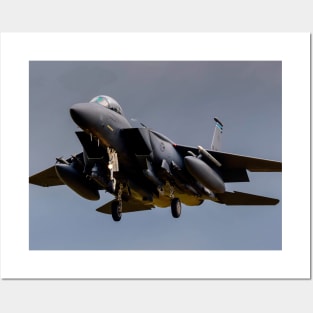 F15 Eagle Posters and Art